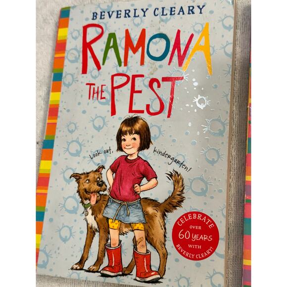 Chapter book bundle for kiddos - Picture 4 of 7